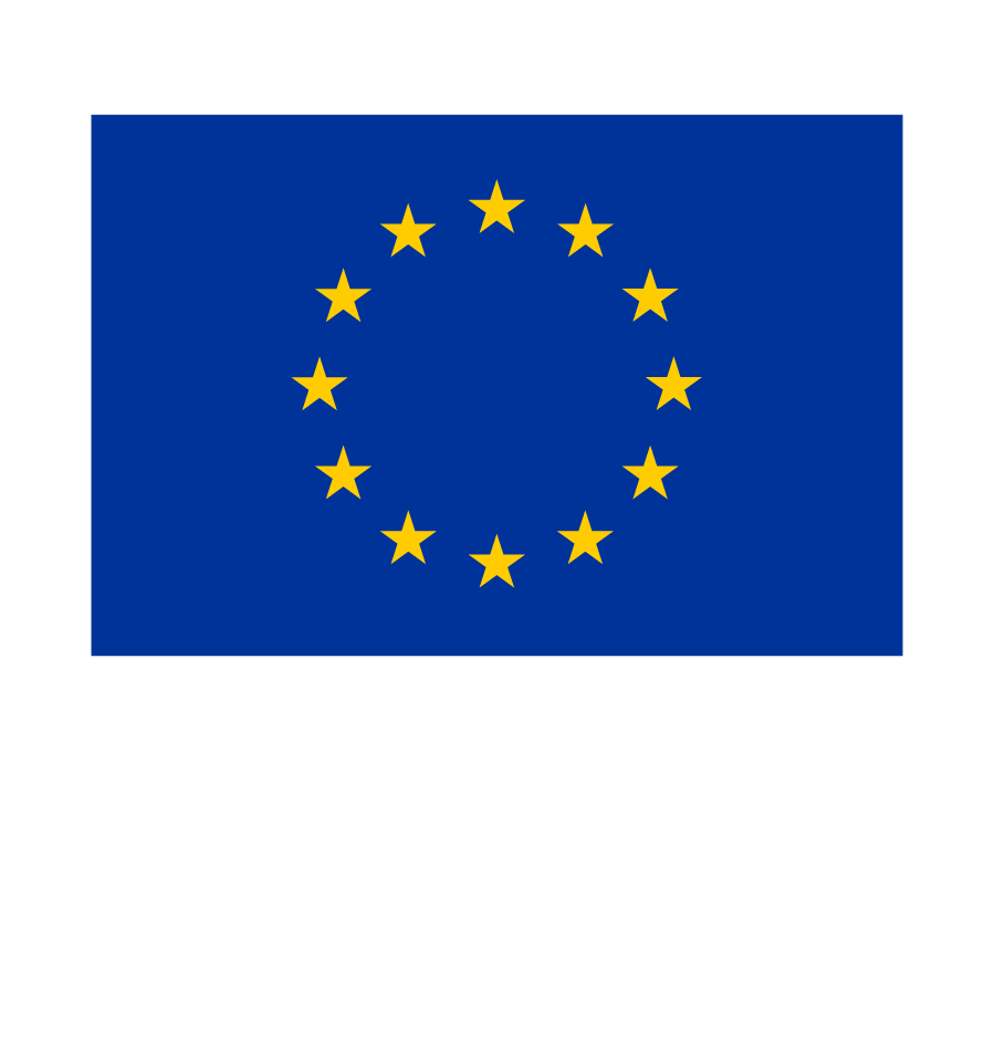 Medegefinancierd door de Europese Unie